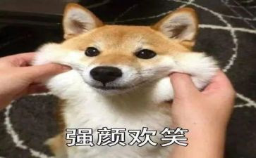 关于笑对挫折的作文最新5篇