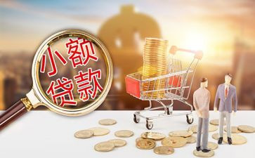 小额贷款工作总结5篇