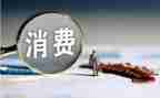 消费贷自查报告6篇