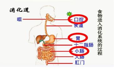消化内科月工作总结7篇