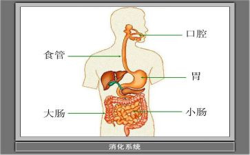 消化科年度总结7篇