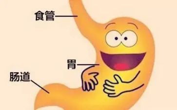 个人总结消化内科护士5篇