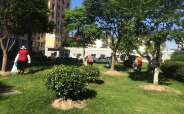 小区物业元宵节活动方案8篇