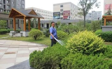 小区物业年终工作总结范文8篇