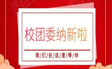 校团委个人总结5篇
