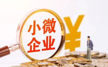 小微贷工作总结7篇