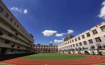 小学校务办工作总结5篇