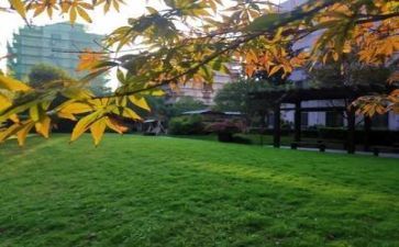 校园拍活动总结7篇