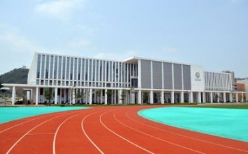 学校送文化进校园活动总结6篇