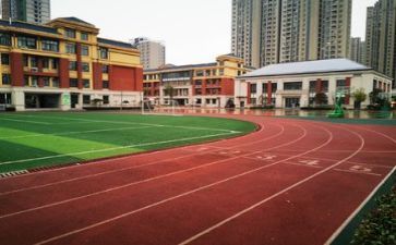 校园活动个人总结7篇