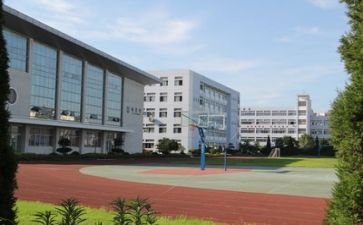 2023校园工作总结参考7篇