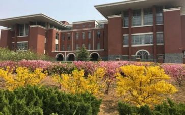 参加校园活动总结8篇
