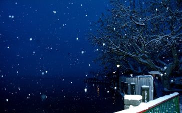 写下雪的优秀作文模板8篇