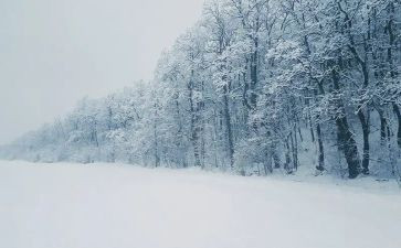 写下雪的作文400字8篇