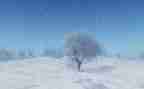 写下雪的作文400字模板8篇