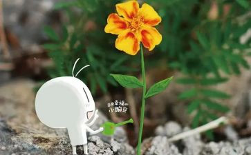 我最喜欢的人作文800字8篇