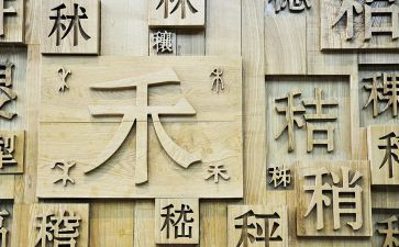 形近字比赛活动总结模板8篇