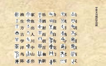 形近字比赛活动总结精选8篇