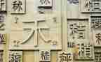 形近字比赛活动总结模板8篇