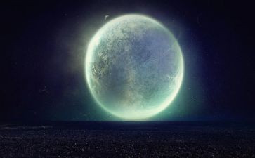我来自《孤独星球》读后感模板5篇