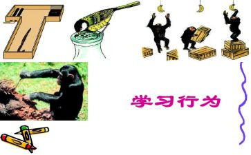 违反职业道德行为处理办法心得体会最新6篇