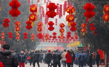 过新年中班语言教案5篇