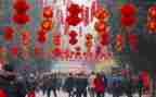 过新年中班语言教案5篇