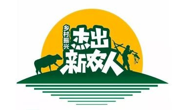 新农保个人工作总结6篇