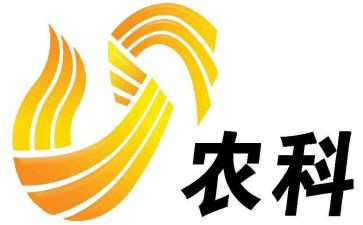新农村干部述职报告8篇