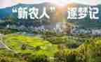 新农村工作总结范文8篇