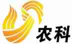 新农村干部述职报告8篇