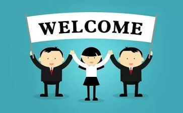 会计新人个人总结8篇