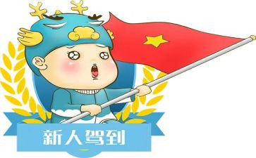 公司新人个人工作总结5篇