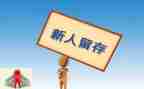 新人年终总结2022精选6篇