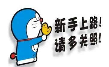新手销售月工作总结8篇