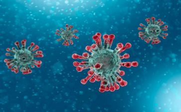 新型冠状病毒感染防控方案培训总结5篇
