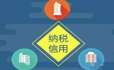 信用工作个人总结5篇
