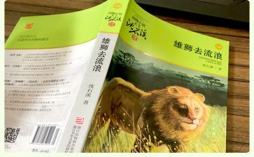 雄狮去流浪读后感8篇
