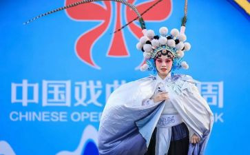 戏曲活动进校园活动总结5篇