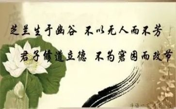 文明修身活动总结8篇