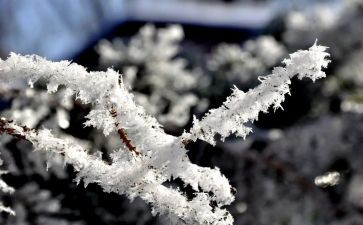 幼儿园雪天安全教育教案8篇
