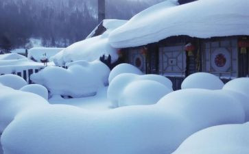 迎新春除雪活动总结5篇