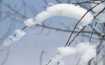 雪来了中班教育活动教案模板7篇