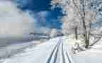中班雪房子教案7篇