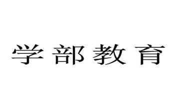 小学部教学处工作总结6篇