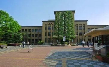 大学部门年度个人总结5篇
