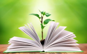 小学六年级下教学工作总结最新8篇