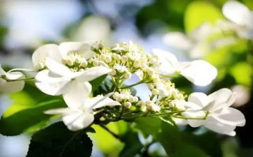 大学年终总结个人总结范文6篇