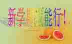 初二班主任半学期工作总结7篇