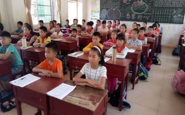 系学习部个人总结5篇